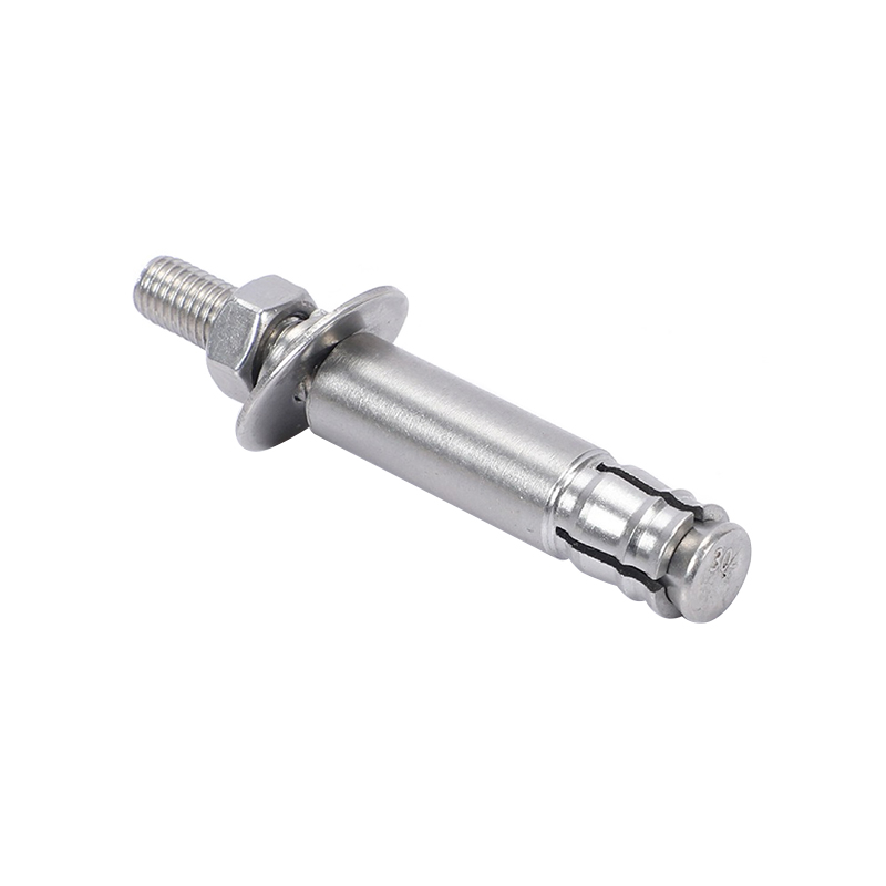 Stainless Steel Mechanical Anchor Bolt