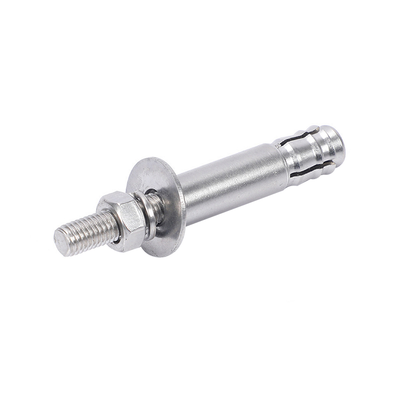 Stainless Steel Mechanical Anchor Bolt