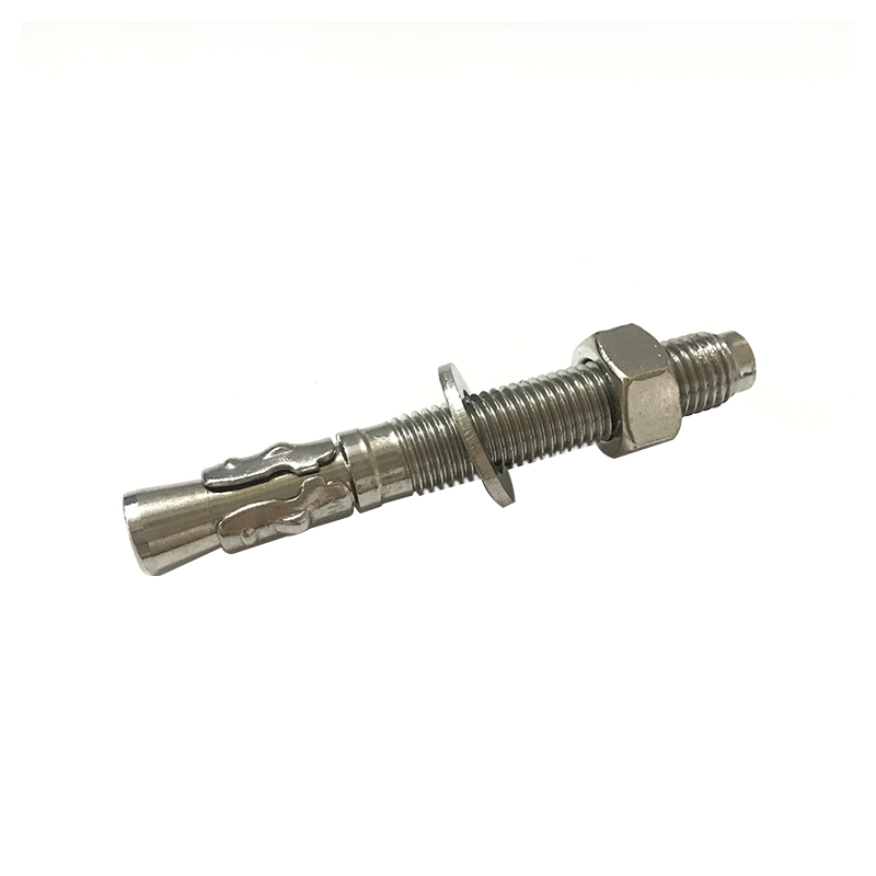 Stainless Steel Wedge Anchor